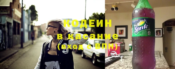 гашик Заводоуковск