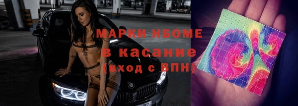 стаф Кулебаки