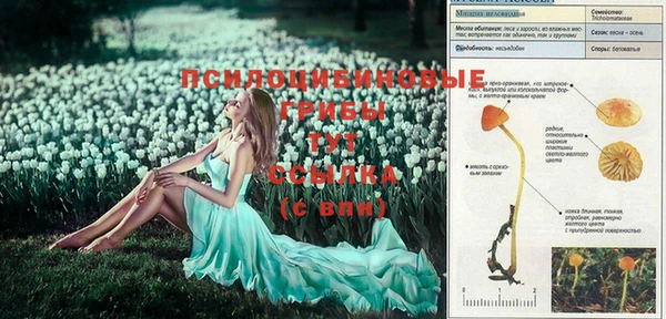 прущая мука Алексеевка